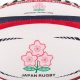 Japan rugby ball