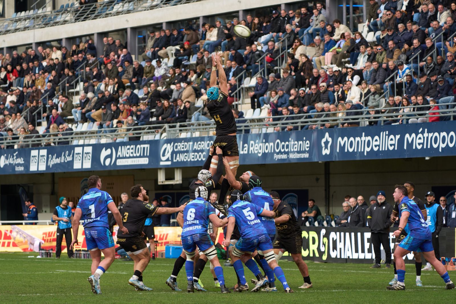 French Rugby French Rugby